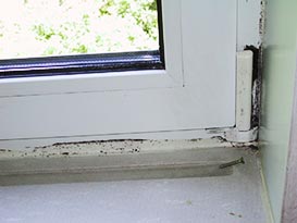Schimmel in Fensterlaibung